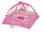 FunKids Play Ground Gym