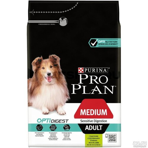 Pro Plan