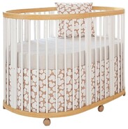  Giovanni TreeO 6 в 1